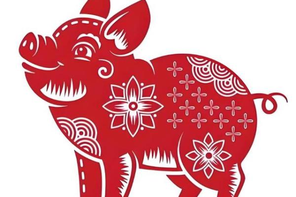 属猪人运程预测：一年的吉凶变化