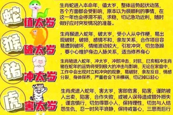 属羊人出生的运势和未来发展
