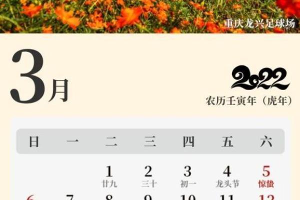 万年历新篇章：2007年，你的专属时间年鉴