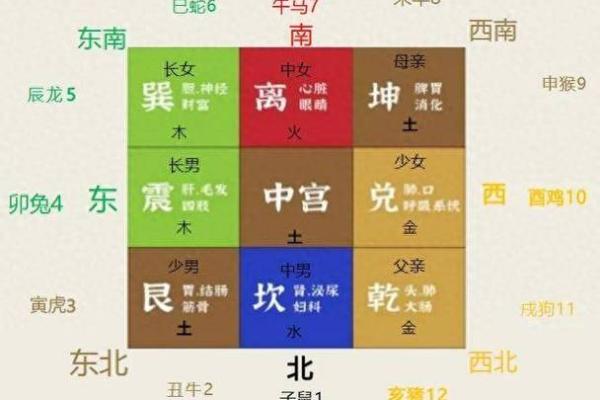 王五命理分析：五行属性对其性格和运势的影响