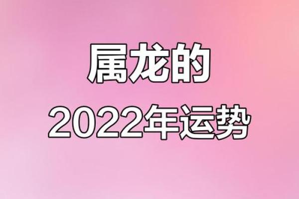龙人运势详解：事业突破与情感升温