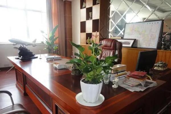 财务办公室朝向如何影响财运与工作效率