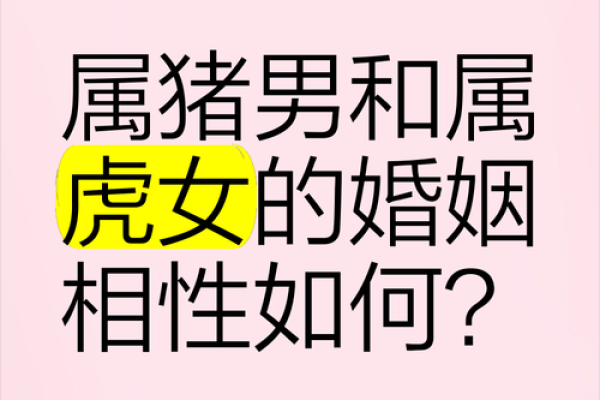 属虎女和属龙男的爱情兼容性探讨