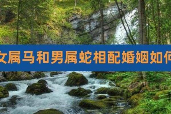 属马人与属蛇人是否能携手共度一生