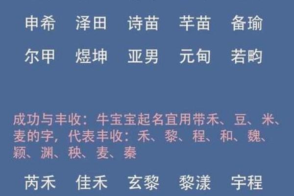 未出生男宝宝起名指南：选个有意义的名字为他铺路