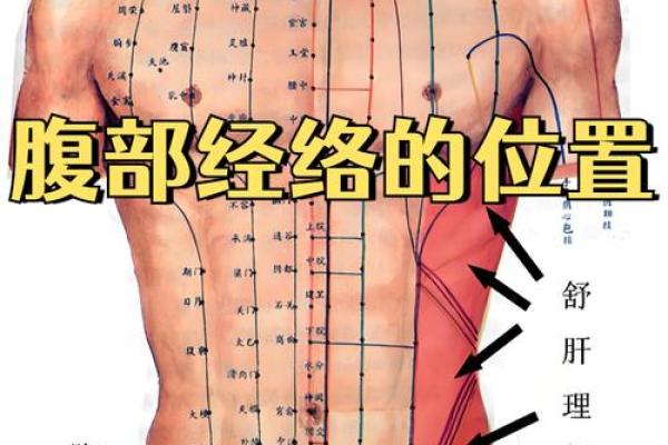 为何腰部是男人健康的关键部位