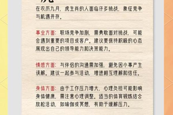 不同生肖的运程解析，如何把握今年的机会