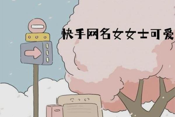 快手女生名字推荐大全，个性又独特的选择