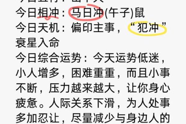 猪人每月运势详解：全年运程与注意事项分析