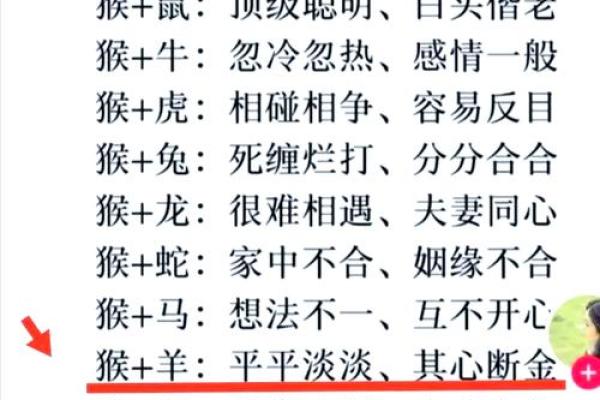 羊虎配对的婚姻能否长久？