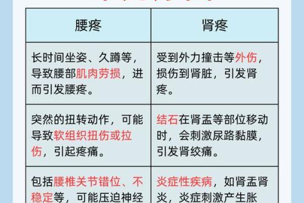 腰部对男人健康的重要性及其关系揭秘