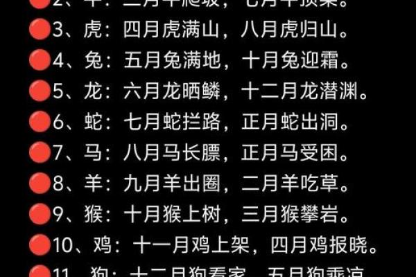生肖运势揭秘，如何化解困境
