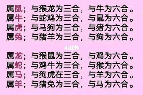属虎人与属狗人婚姻相配度如何
