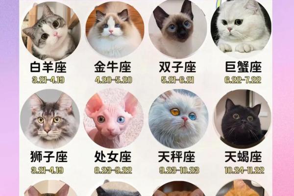 星座配对分析：谁是你命中注定的另一半