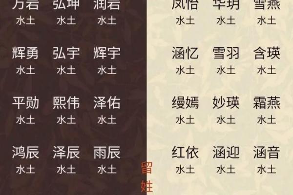 带土女孩名字大全：为您的宝贝选个美丽名字