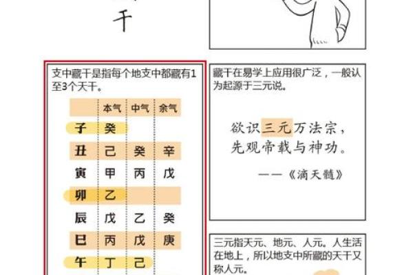綜字五行分析：如何理解綜字在命理中的作用与影响