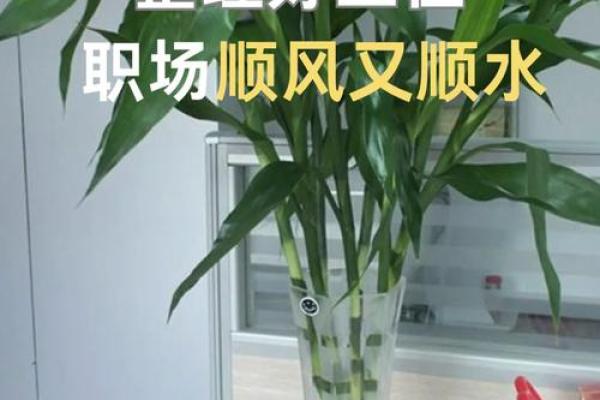 办公环境中风水桌尺寸对工作运势的影响