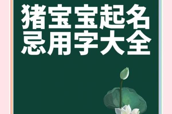 免费猪宝宝名字推荐，挑选最有意义的名字