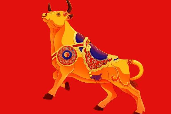 牛座运程预测：每月运势详解