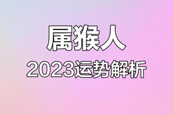 属猴人运势全盘分析：如何迎接好运与挑战