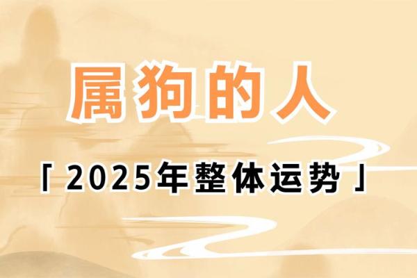 出生的属狗人运势预测