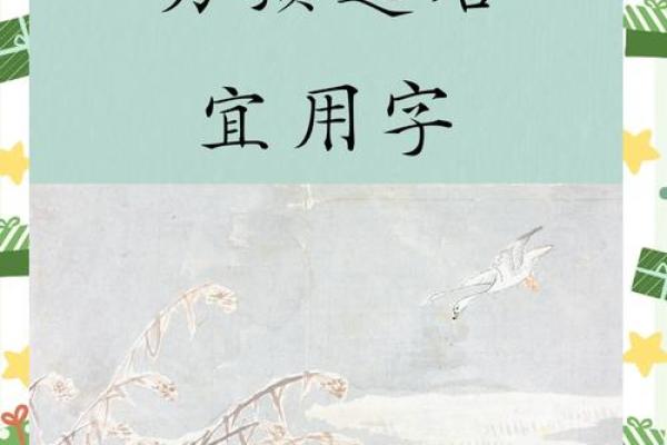 给男宝宝起名的创意灵感