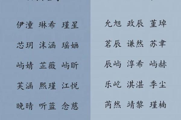 钟龙凤宝宝名字选择指南 提升宝宝气质与运势的命名技巧