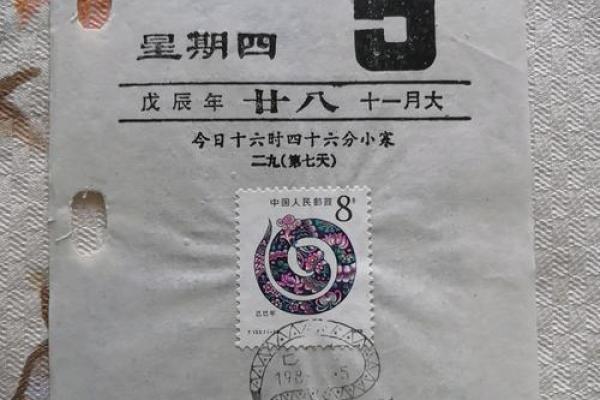 戊辰年：穿越时光的生肖密码
