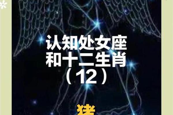 属猪与属马的爱情能长久吗？全面解析两者的关系匹配度