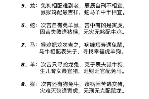 属猪与属马的爱情能长久吗？全面解析两者的关系匹配度