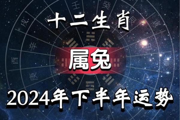 属兔人在本命年如何增强团队合作精神