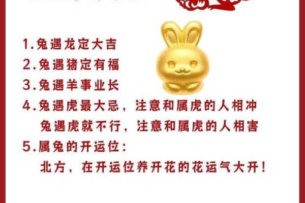 属兔人在本命年如何增强团队合作精神