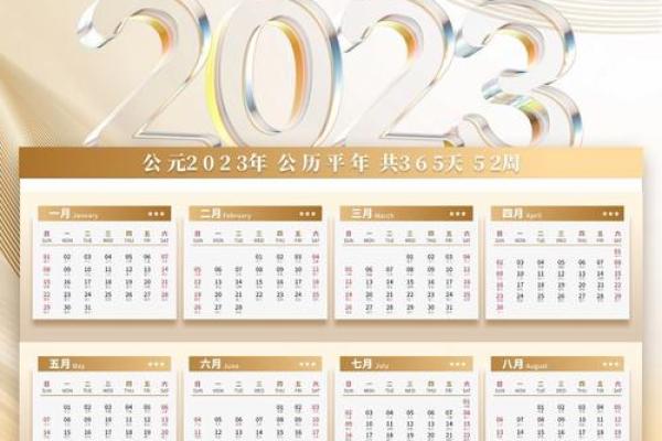 万年历风云录：2023年日历盘点，潮流趋势尽在掌握