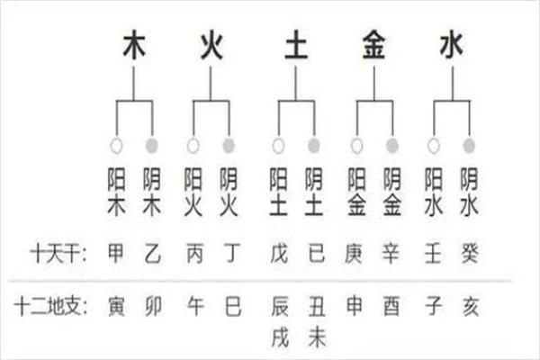 八字相生相克的秘密：如何通过命理改善运势