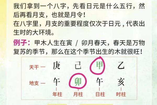 揭秘八字的奥秘，如何通过它看透命运