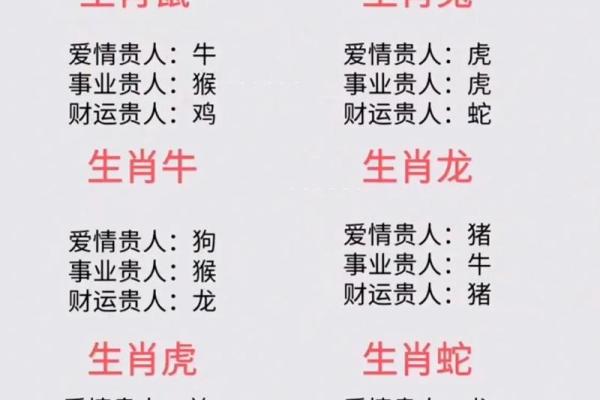 家居风水与属相的关系解析：如何根据生肖调整家居布局