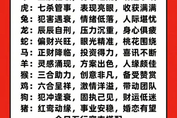 日运程详解，掌握今日的好运与风险