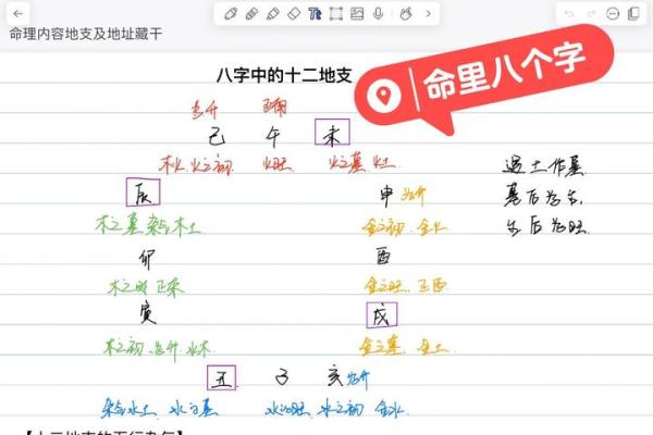 新字的五行属性解析及其对命理的影响