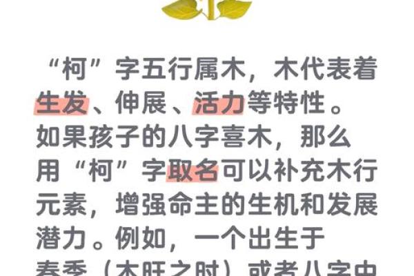 新字的五行属性解析及其对命理的影响