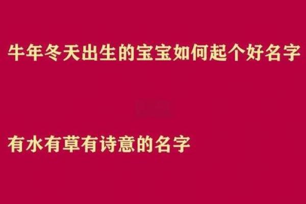 牛年宝宝名字大全：涵义深刻的名字推荐