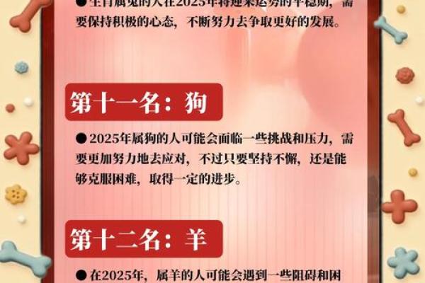 十二生肖运程大揭秘，哪些生肖将迎来新机遇？