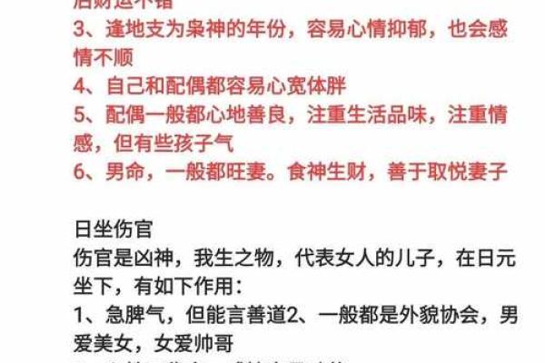 掌握十神八字，轻松解析命运玄机