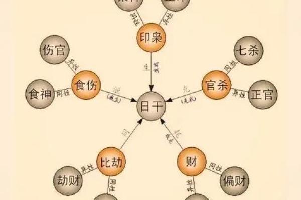 掌握十神八字，轻松解析命运玄机