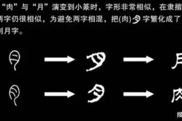 月字五行属性解析及其在命理中的应用