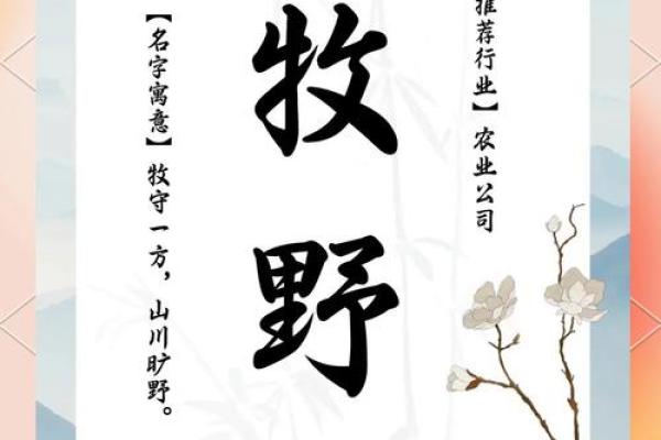 农产品公司起名创意与趋势分析