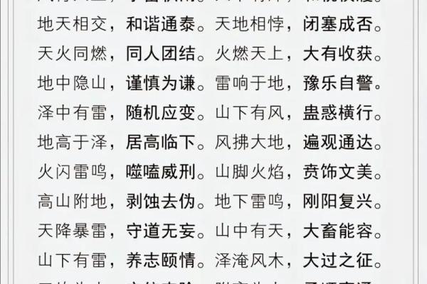 尹琳五行智慧：如何利用五行调整人生轨迹