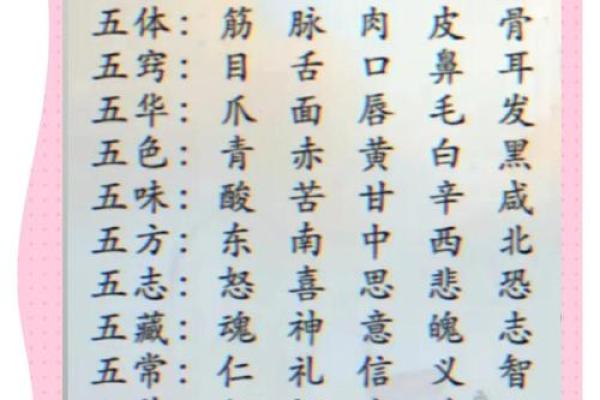 样五行属什么？揭秘样五行的奥秘与影响