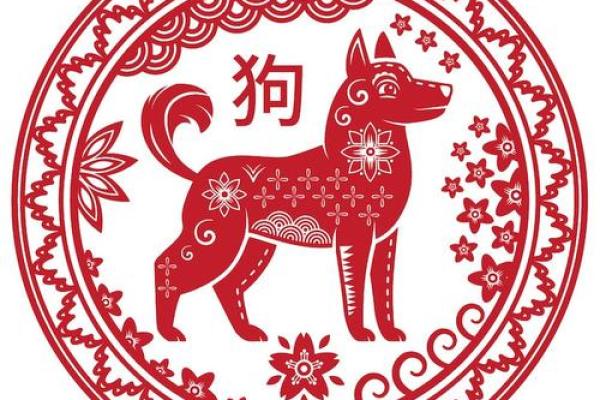 属狗的运势分析及未来趋势预测
