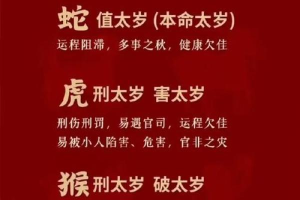 鼠男本命年运势变化的原因