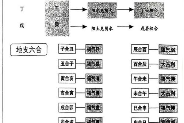 掌握八字地支三会的奥秘，解锁命运的关键密码
